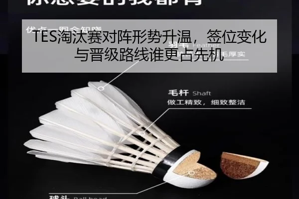 TES淘汰赛对阵形势升温，签位变化与晋级路线谁更占先机（DouYu）